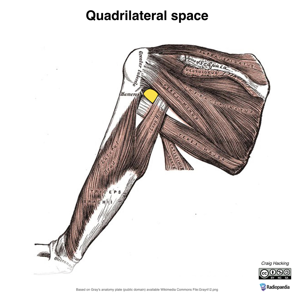 Quadrilateral-space-grays-illustration.jpeg
