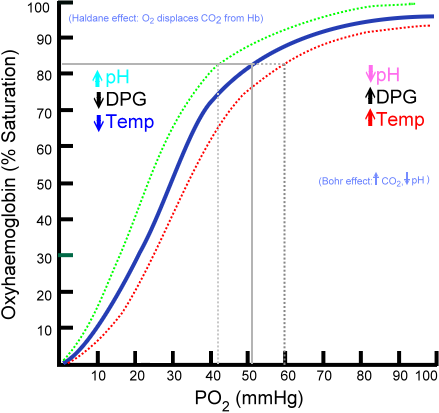 Oxyhaemoglobin dissociation curve.png